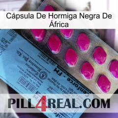 Cápsula De Hormiga Negra De África 35